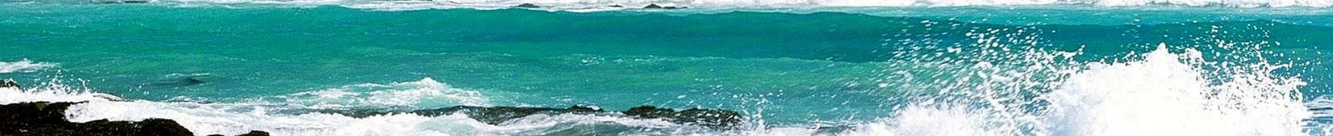 Wolfgangs private Sportboot-Seite