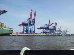 HH_Wolle_allein_29_08_2018