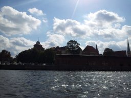 5_8_20190517_1354385134