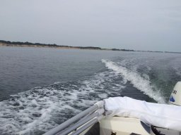 Ostsee-Haffkrug_016_16_06_2018