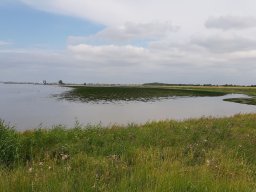 gluecksstadt_1_20190718_1315529270