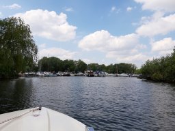 3_5_20190520_1288741877