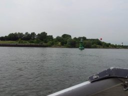 Elfi_007_16_05_2019