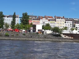 3_9_20190516_1929728958