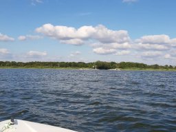 malchow_004_03_07_2019
