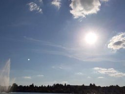 malchow_005_03_07_2019