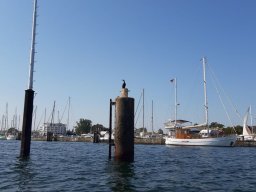 Ostsee_Priwall_011_24_08_2019