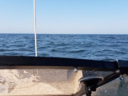 Ostsee_Priwall_017_24_08_2019