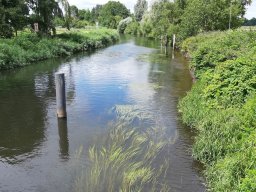 AutoTrip_002_Scharnebeck_17_07_2019