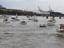 25072020_rettet_die_dove_elbe_3_20200920_1374009965