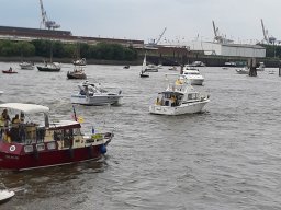 25072020_rettet_die_dove_elbe_5_20200920_1934333712