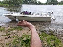 elbe_tour_01082020_20_20200920_1131842454
