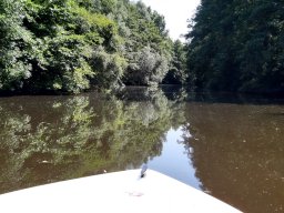 Billwerder_Insel_022_25_07_2021