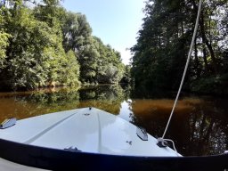Billwerder_Insel_023_25_07_2021