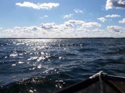 TraveHafen_011_11_08_2022
