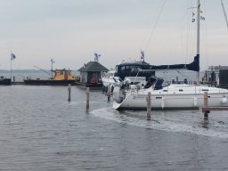 Holland_Hamburg_17_09_2023_008