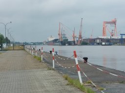 Holland_Hamburg_17_09_2023_028