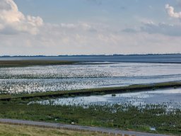 Holland_Hamburg_17_09_2023_052