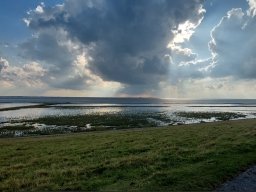 holland-nordsee_25_20231019_1656523720