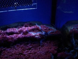 stralsund_ozeaneum_4_20190805_1106585770